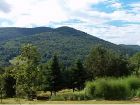 1268 Berwal Road Arlington, VT 05250 - Photo 3 of 12 Gallery Image 3