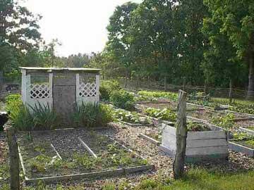 12685 4 Mile Road Morley, MI 49336 - Photo 2 of 4 Additional Photo