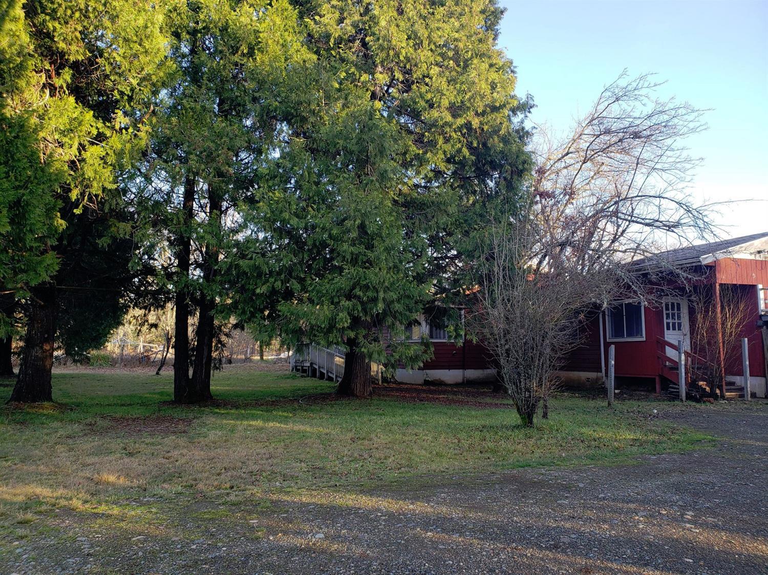 239 Dick George Road Cave Junction, OR 97523 - Photo 4 of 19 a tree in front of a white house