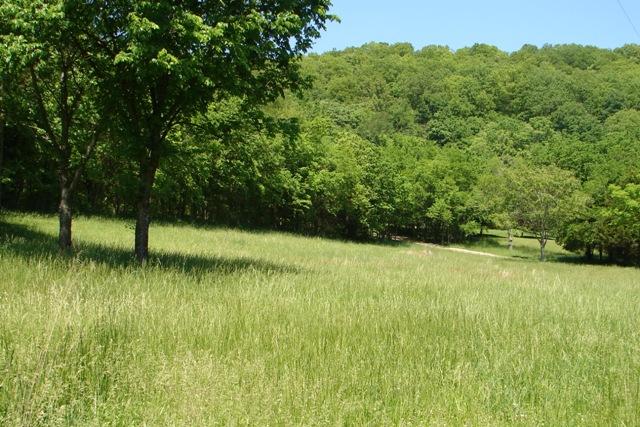6750 Lane Road College Grove, TN 37046 - Photo 11 of 14 view of beautiful landscape