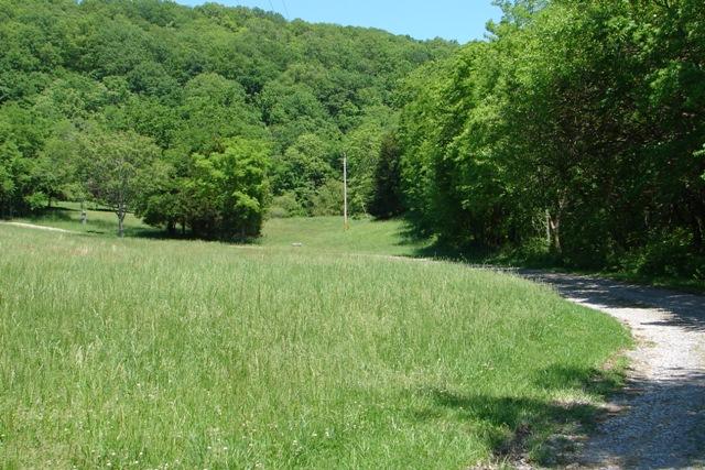6750 Lane Road College Grove, TN 37046 - Photo 12 of 14 view of winding driveway
