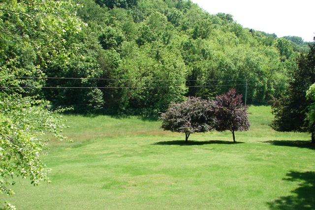 6750 Lane Road College Grove, TN 37046 - Photo 13 of 14 another view of the beautiful landscape