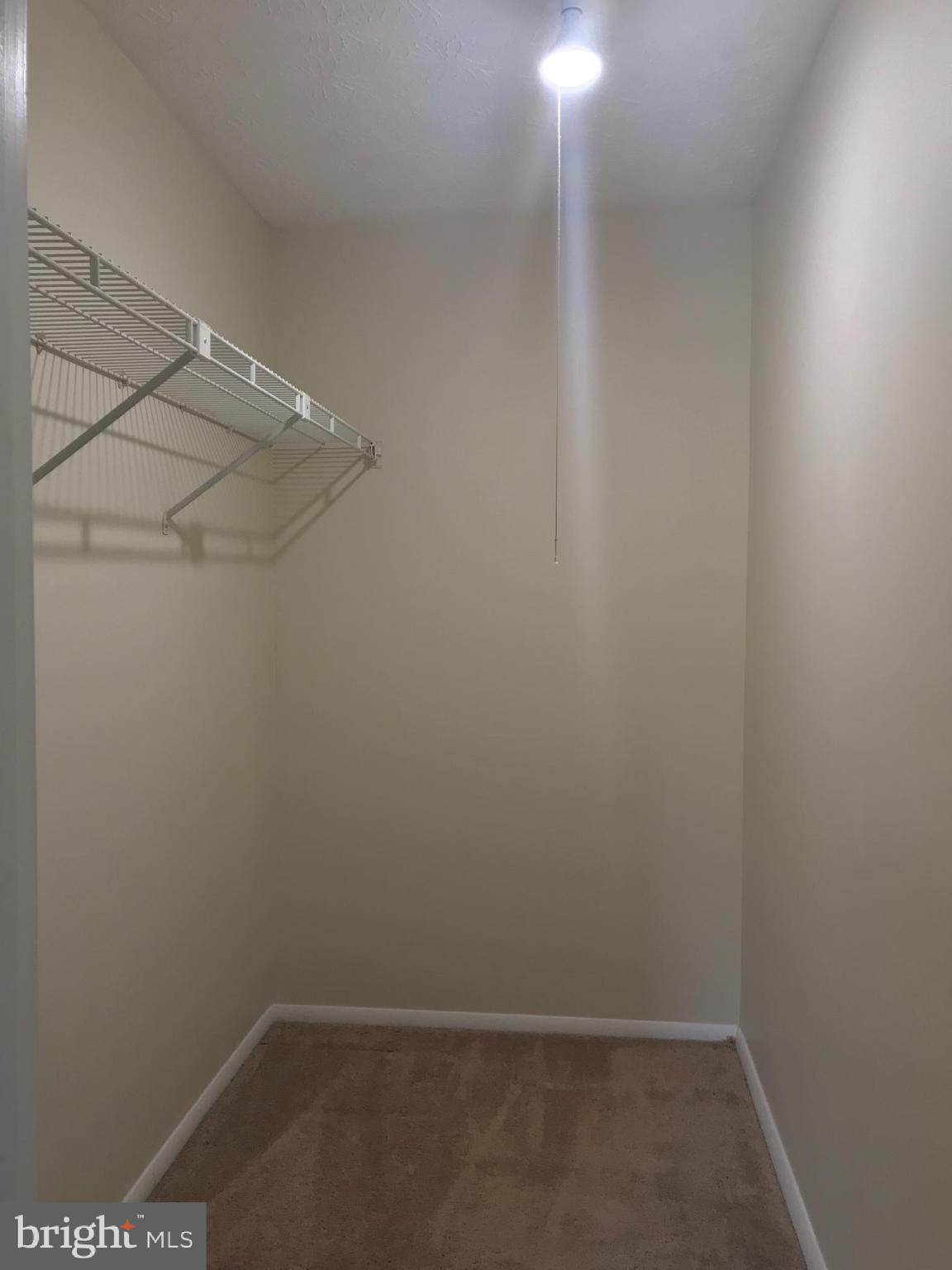 12144 Purple Sage Court Reston, VA 20194 - Photo 15 of 21 Walk-in Closet