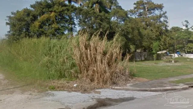 a view of a yard with large trees