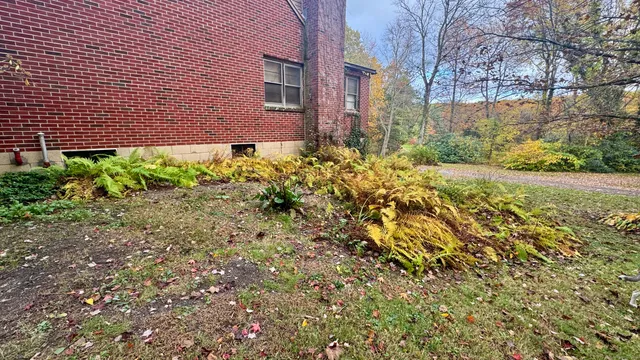 a view of a yard with an trees