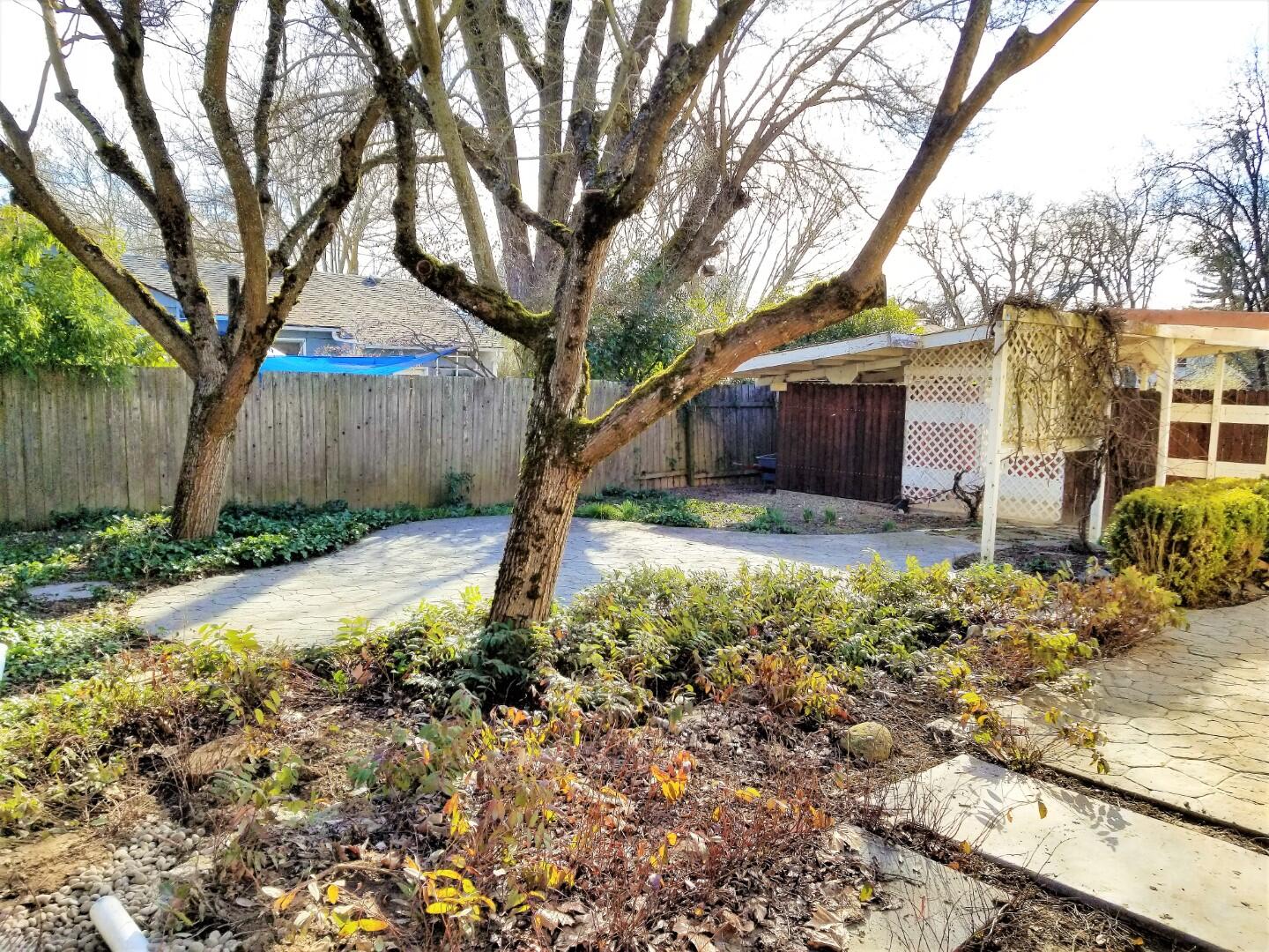 2328 Ruhl Way Medford, OR 97504 - Photo 17 of 19 Great Landscaping in Rear Yard