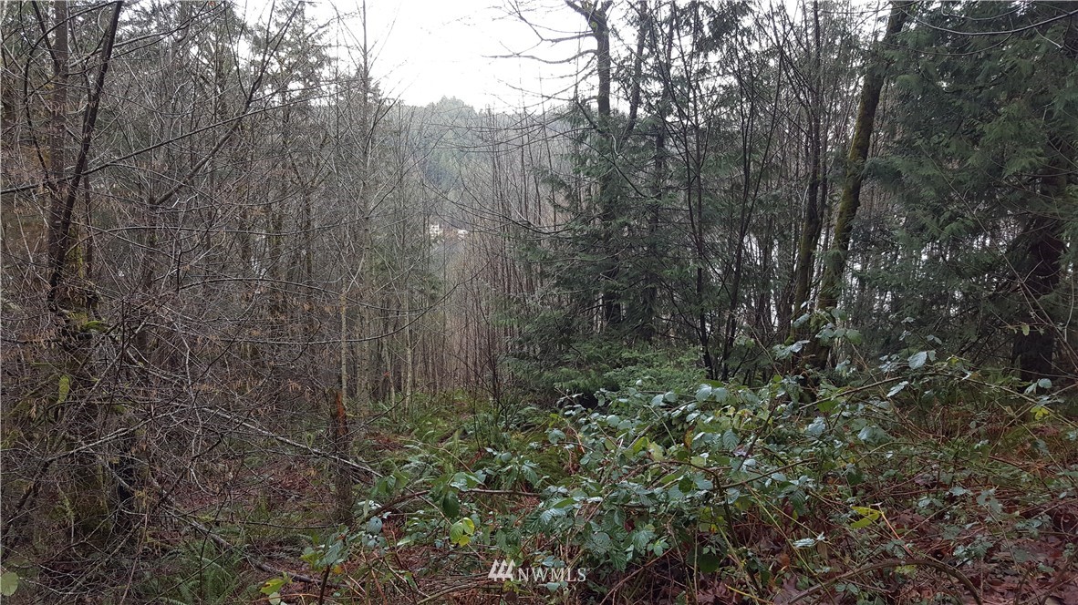 1111 Turkey Road Northwest Olympia, WA 98502 - Photo 2 of 2 Gallery Image 2