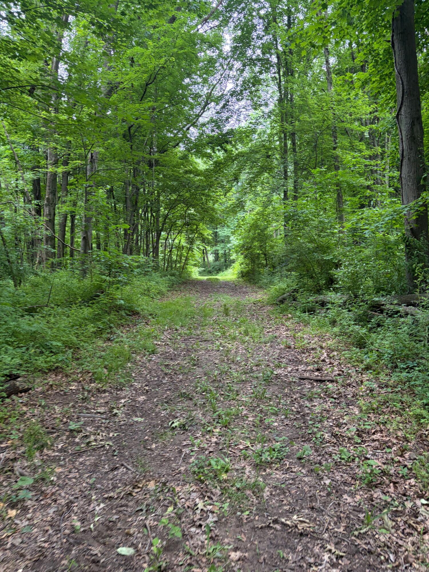 52402 Oak Plains Road Marcellus, MI 49067 - Photo 31 of 59 IMG_8489
