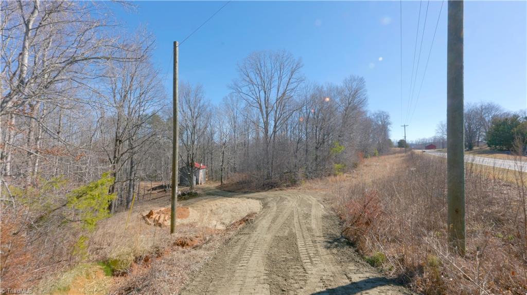 1218 Frye Road Westfield, NC 27053 - Photo 15 of 47 new driveway