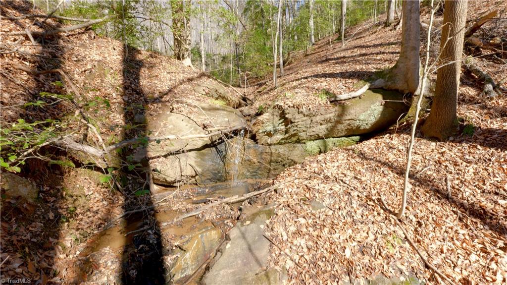 1218 Frye Road Westfield, NC 27053 - Photo 24 of 47 Gallery Image 24