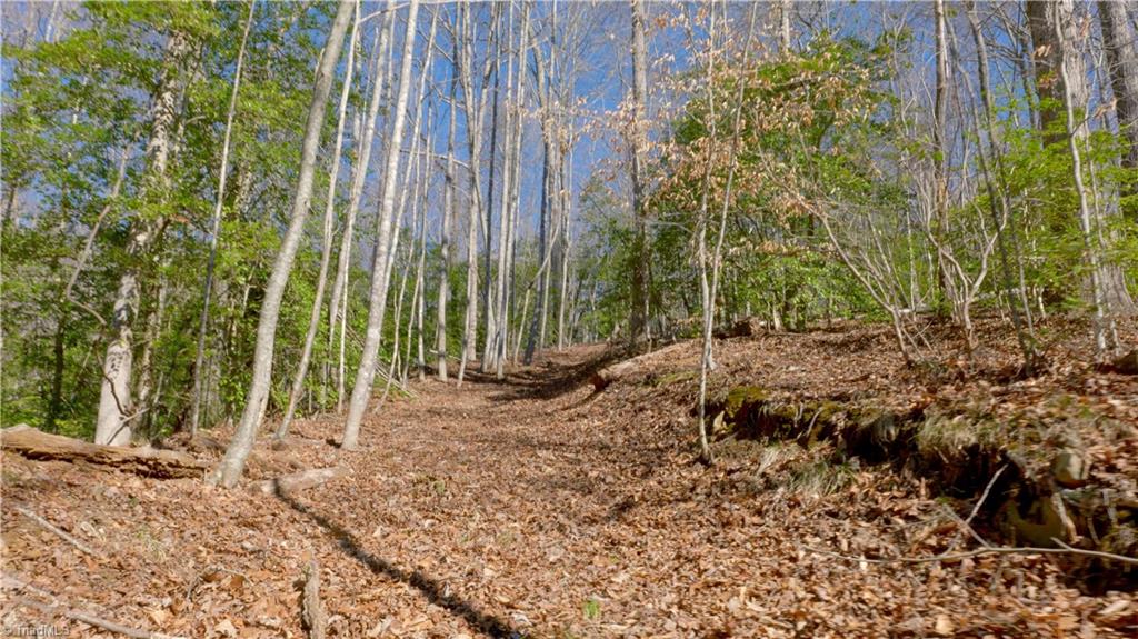 1218 Frye Road Westfield, NC 27053 - Photo 25 of 47 Gallery Image 25