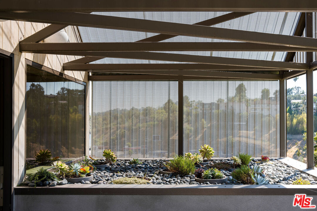 2634 Silver Ridge Avenue Los Angeles, CA 90039 - Photo 26 of 44 a view of a potted plant in front of a glass door