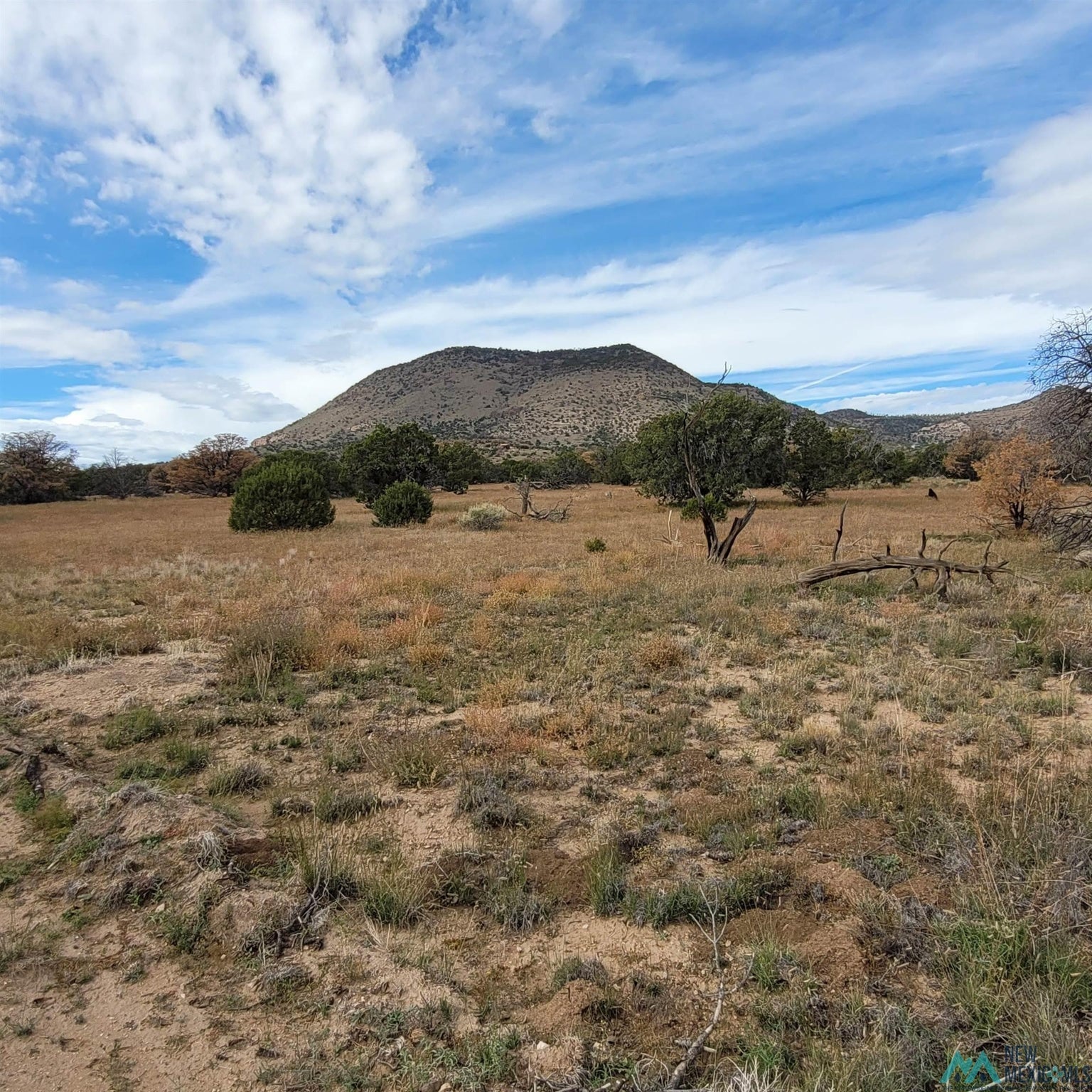 15 Elk Court Datil, NM 87821 - Photo 6 of 17 Gallery Image 6