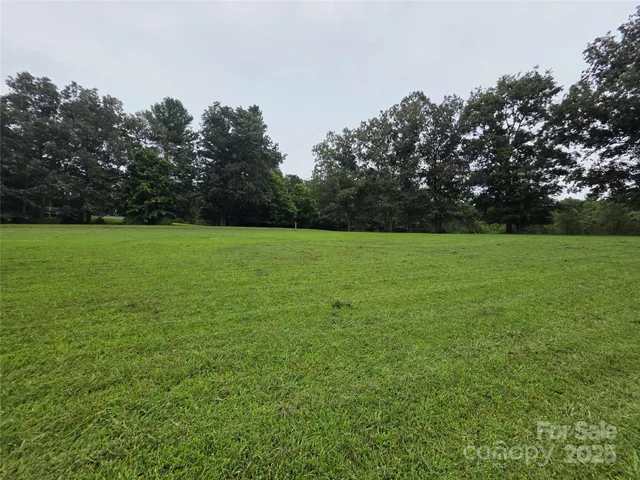 a view of a field with trees in the background
