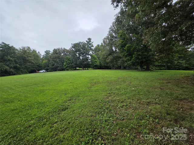 a view of a field of grass and trees