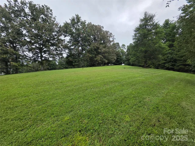 a view of field with tall trees