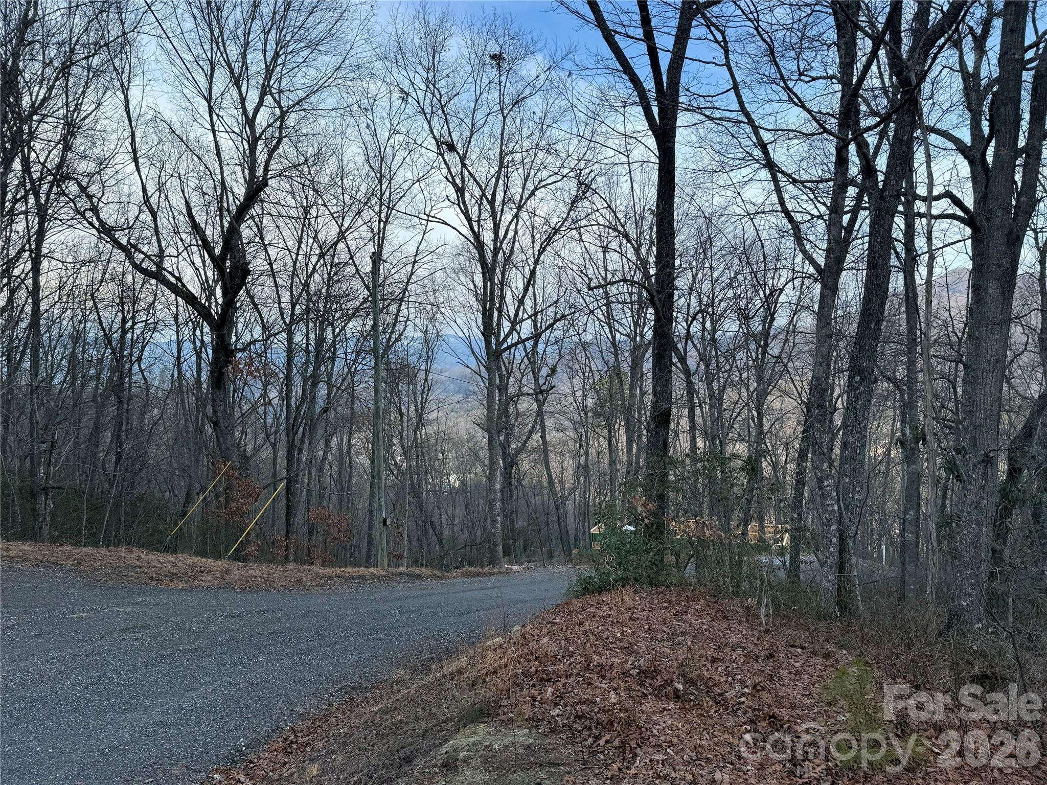 Lot 20 Vail Pass Road Whittier, NC 28789 - Photo 2 of 9 a view of a backyard with large trees