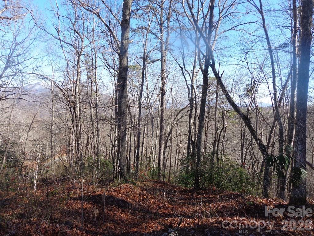 Lot 20 Vail Pass Road Whittier, NC 28789 - Photo 3 of 9 a view of backyard with green space