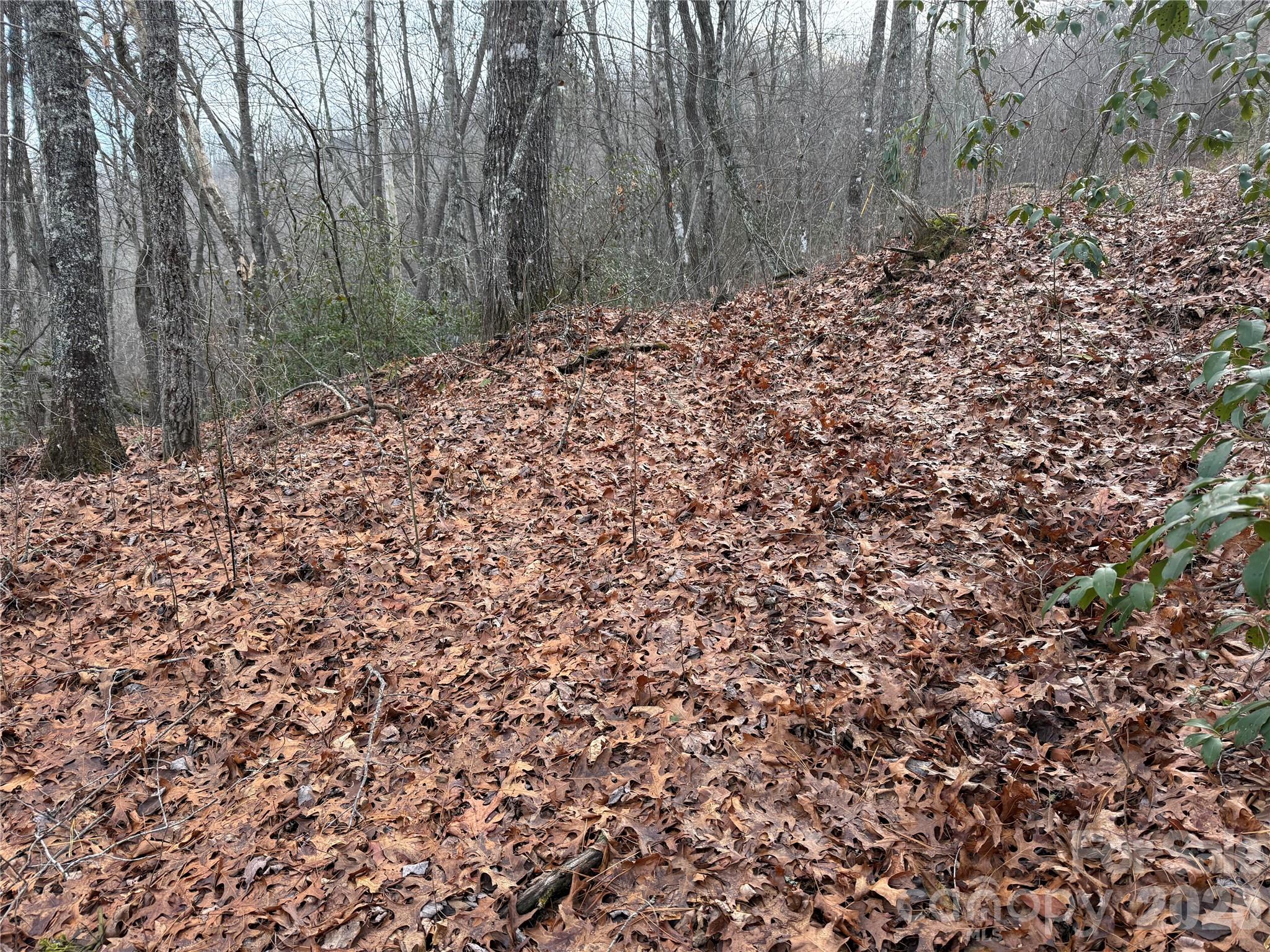 Lot 20 Vail Pass Road Whittier, NC 28789 - Photo 8 of 9