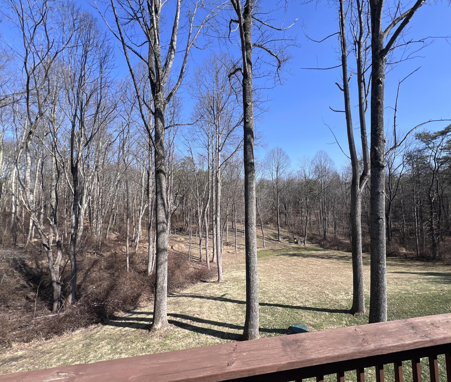 31108 Mays Road Logan, OH 43138 - Photo 22 of 23 Backyard Views