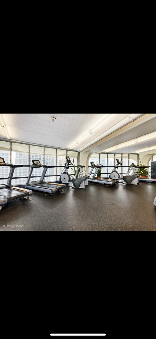 300 North State Street, Unit 2103 Chicago, IL 60654 - Photo 18 of 26