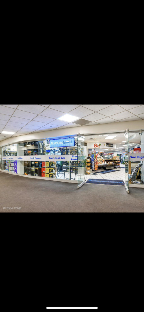 300 North State Street, Unit 2103 Chicago, IL 60654 - Photo 19 of 26 a view of an ocean and beach