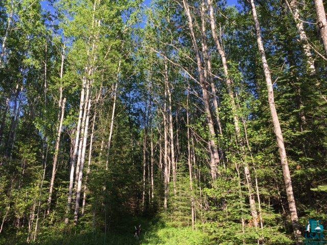 1142 Camp 20 Road Grand Marais, MN 55604 - Photo 5 of 17