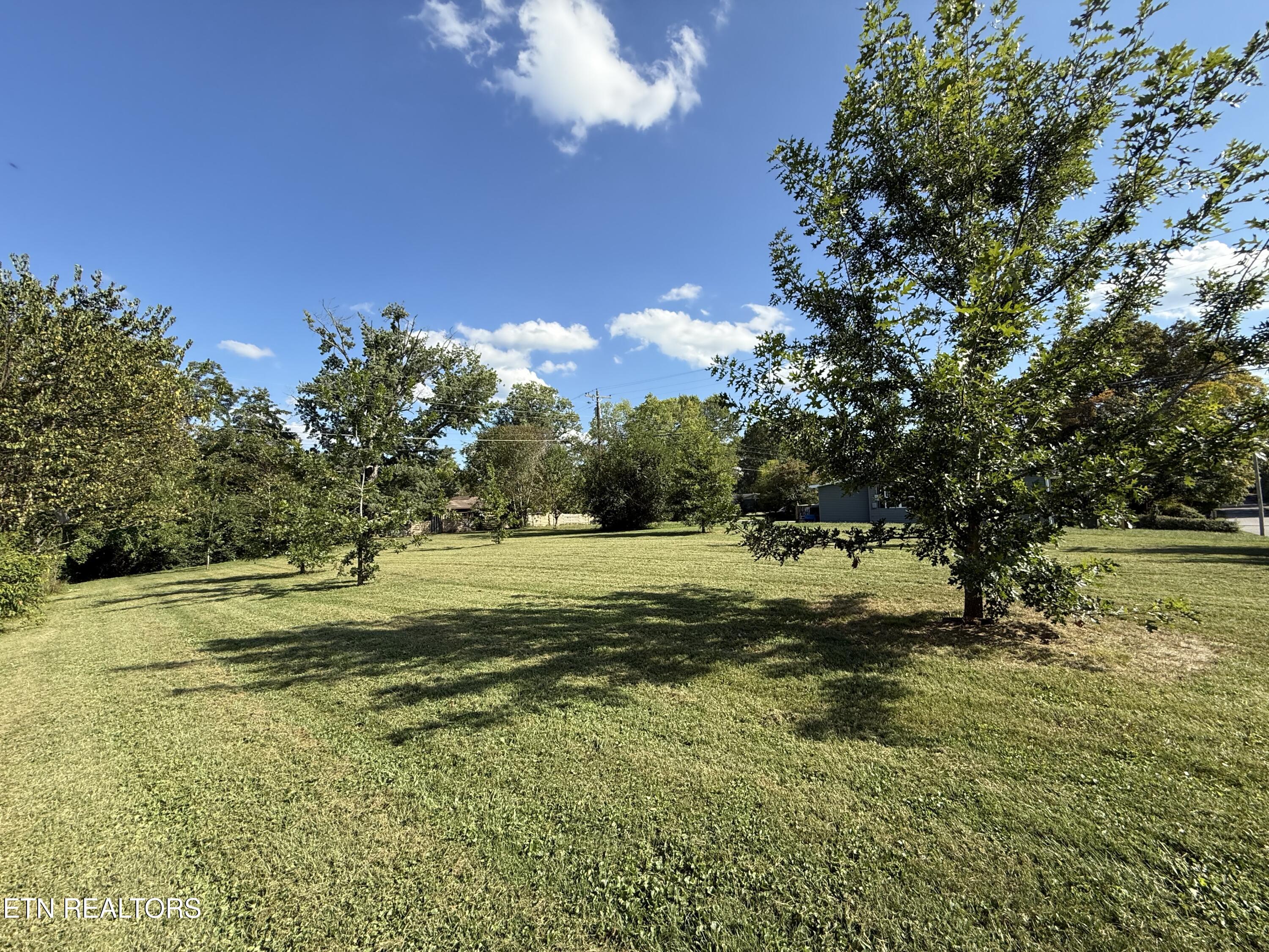 North Bank Street Oneida, TN 37841 - Photo 5 of 10 IMG_3503