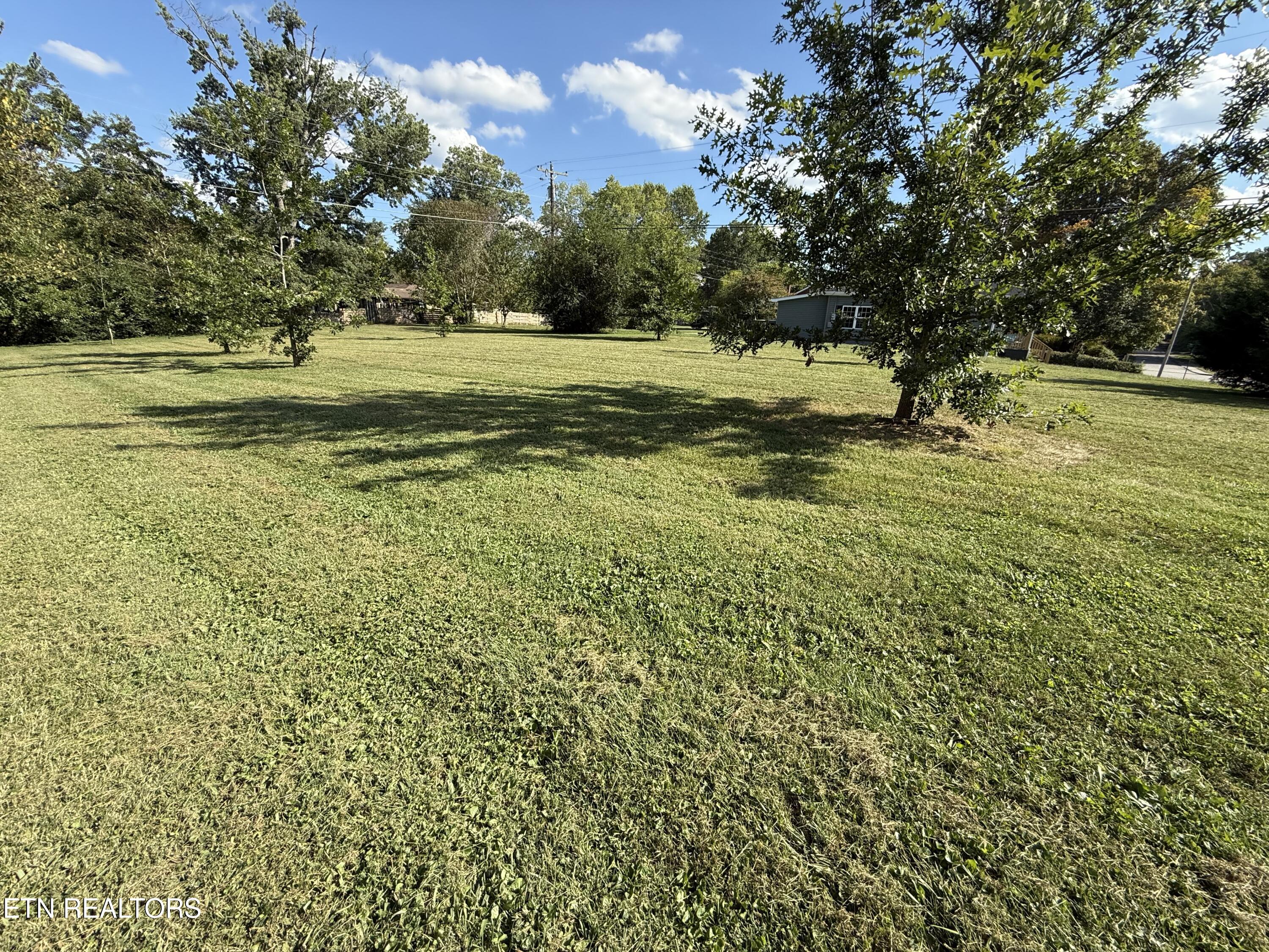 North Bank Street Oneida, TN 37841 - Photo 6 of 10 IMG_3502