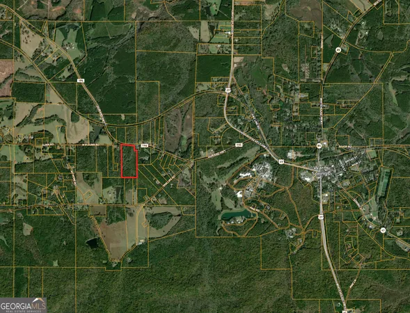 a view of a plant in a garden