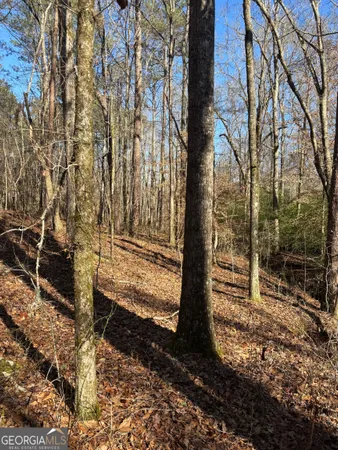 a view of a yard with wooden fence