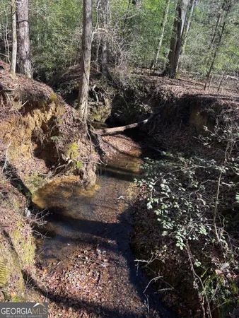 a view of a tree with a yard