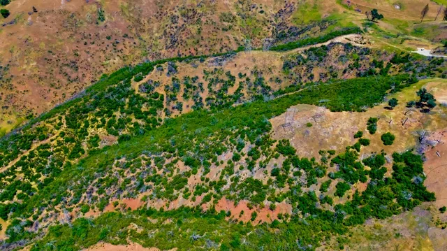 $140,000 | 0 Candy Circle Drive, Mokelumne Hill, CA 95245