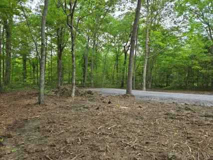 $23,000 | 1141 Lakeshore Drive, Beechgrove, TN 37018