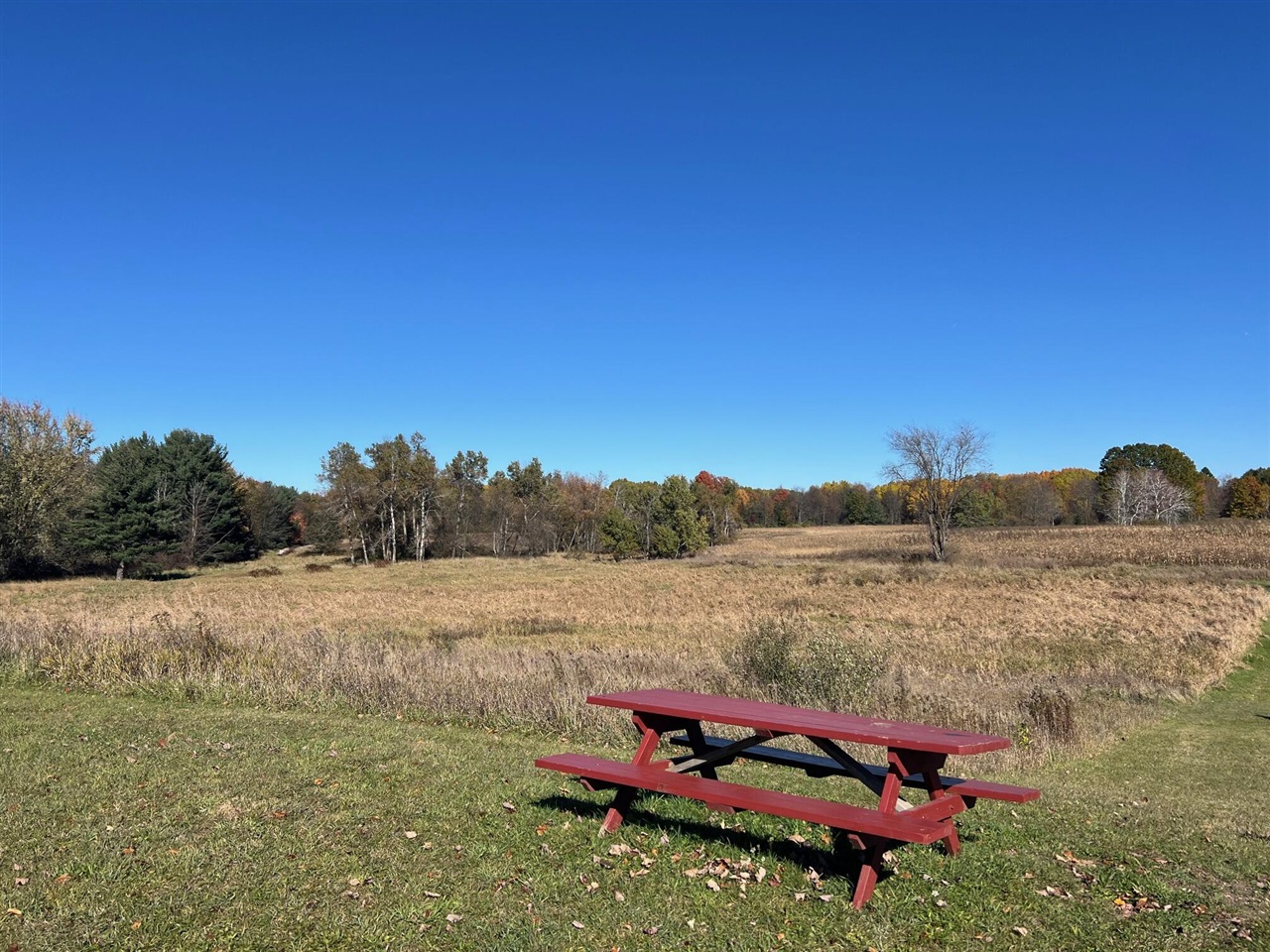 3344 East Hansen Road Custer, MI 49405 - Photo 40 of 62