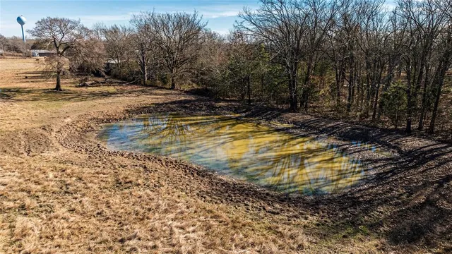 a view of a yard with trees