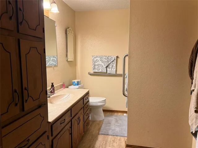 a bathroom with a sink a toilet and shower curtain