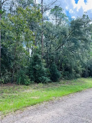 a view of a yard with a large trees