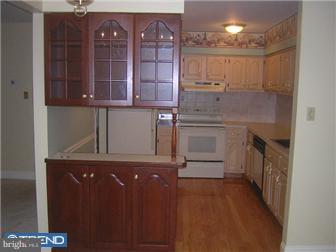 1605 Raintree Lane, Unit 1605 Malvern, PA 19355 - Photo 4 of 12 Kitchen