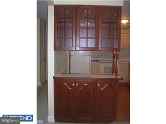 1605 Raintree Lane, Unit 1605 Malvern, PA 19355 - Photo 5 of 12 Kitchen