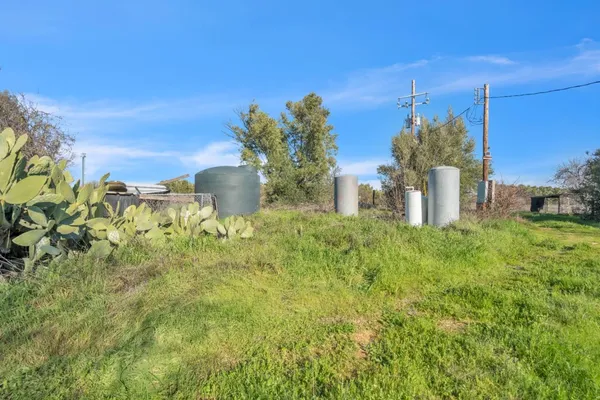 a view of a yard with an trees