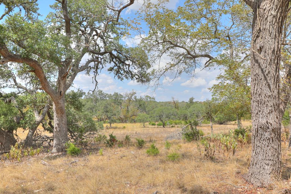 a view of mountain view with lots of trees