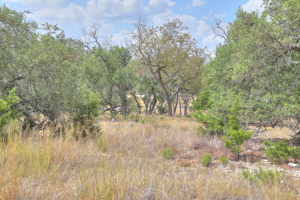 379 Inspiration Loop Comfort, TX 78013 - Photo 11 of 27 a view of yard with trees