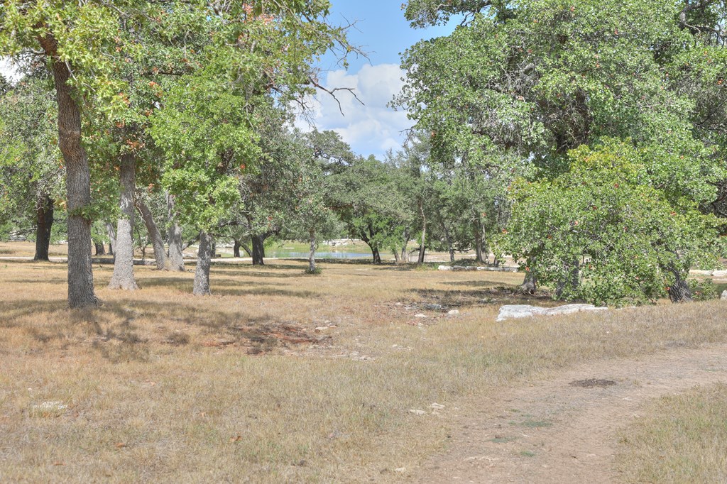 379 Inspiration Loop Comfort, TX 78013 - Photo 19 of 27 a view of outdoor space with trees