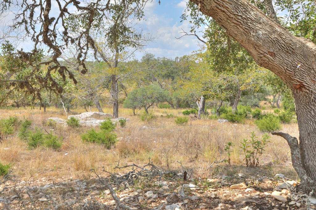 379 Inspiration Loop Comfort, TX 78013 - Photo 5 of 27 a view of yard with green space