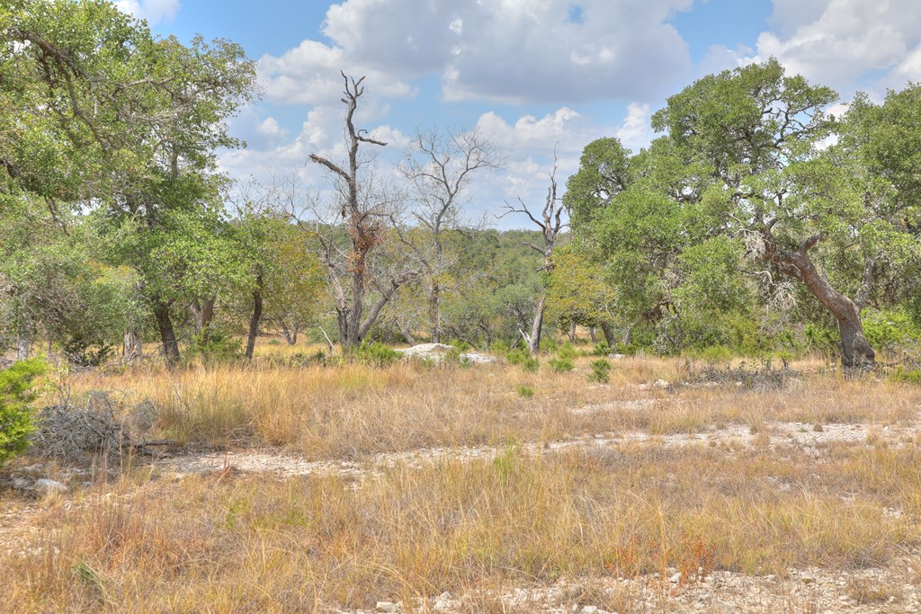 379 Inspiration Loop Comfort, TX 78013 - Photo 6 of 27 a view of a yard
