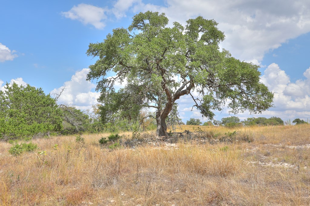 379 Inspiration Loop Comfort, TX 78013 - Photo 7 of 27 a view of lake view