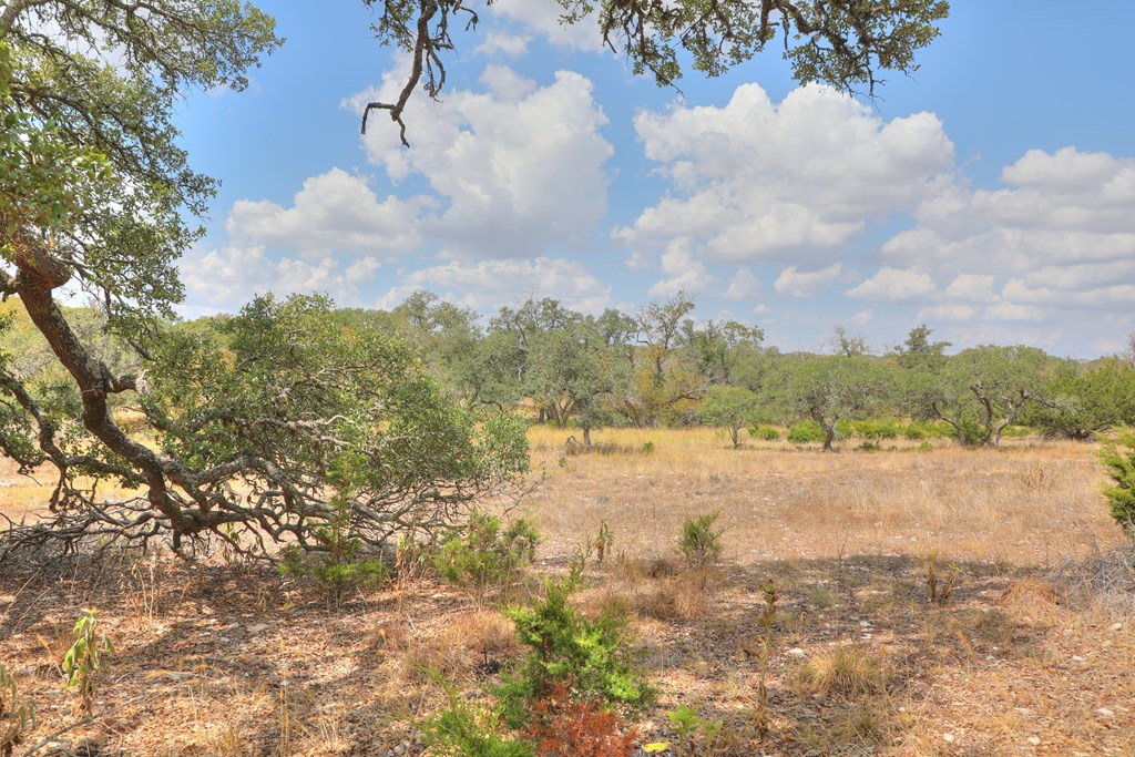 379 Inspiration Loop Comfort, TX 78013 - Photo 9 of 27 a view of lake view and mountain