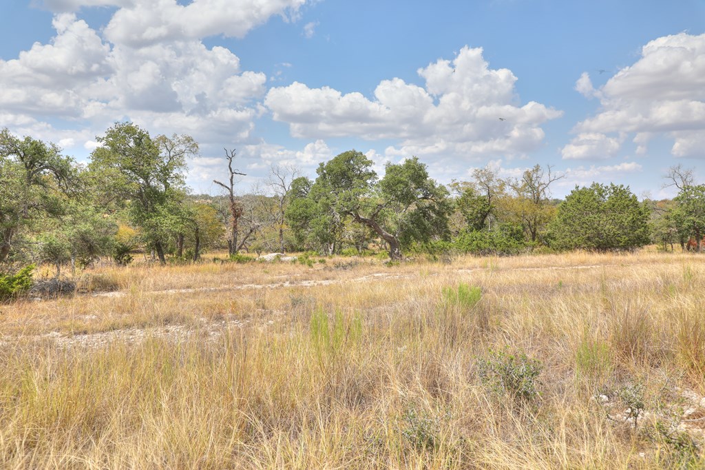 379 Inspiration Loop Comfort, TX 78013 - Photo 10 of 27 a view of yard covered with snow