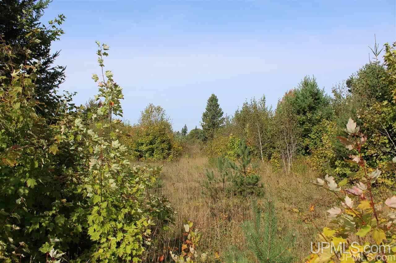 23827 Hulkonen Road Nisula, MI 49952 - Photo 14 of 44 Gallery Image 14